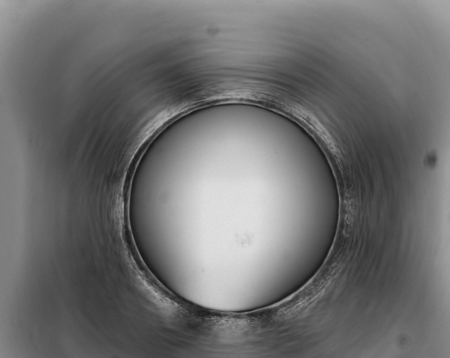 X0000099320890200805091039