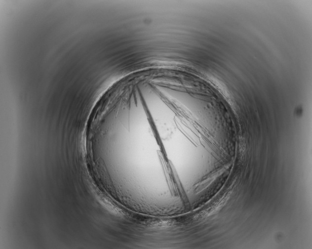X0000099320891200805091039