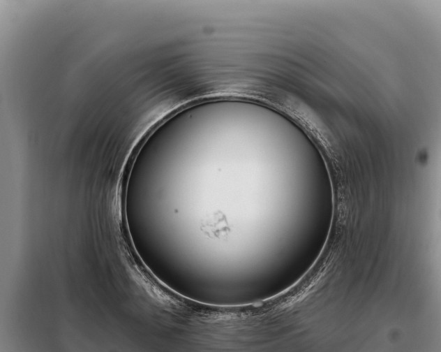 X0000099320892200805091039