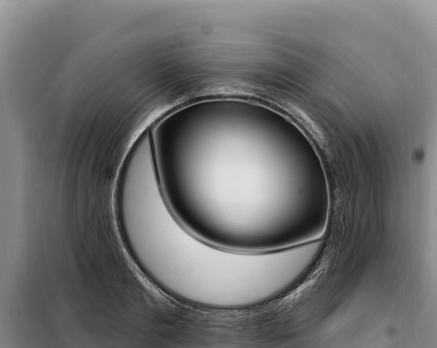 X0000099320893200805091039