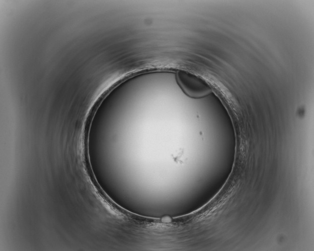 X0000099320894200805091039