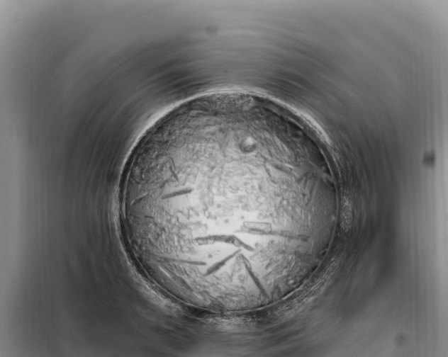X0000099320895200805091039