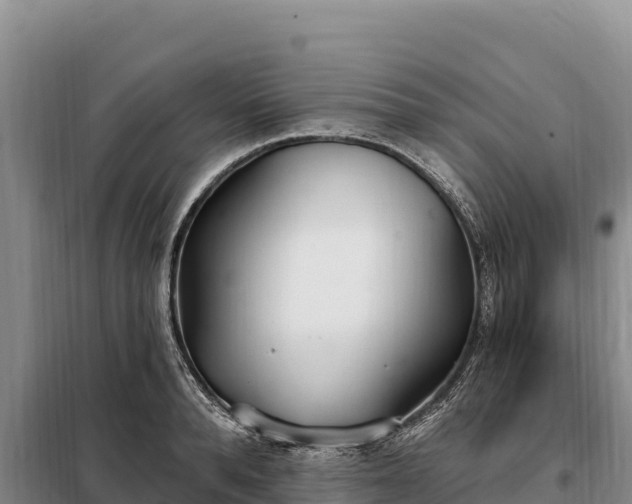 X0000099320896200805091039