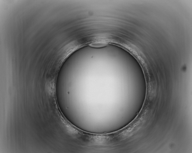 X0000099320897200805091039