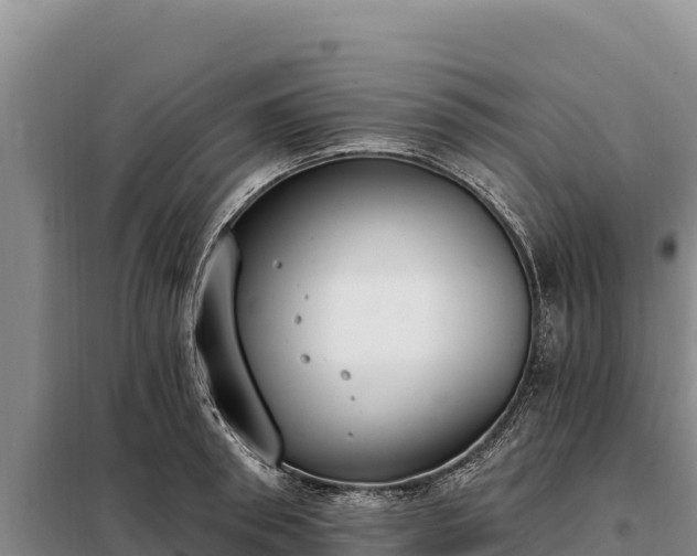 X0000099320898200805091039