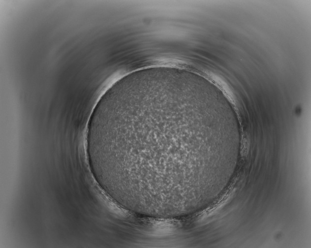 X0000099320899200805091039