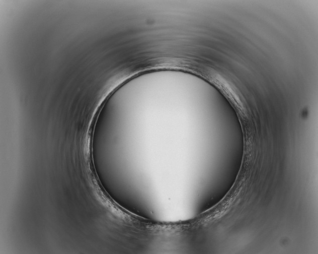 X0000099320900200805091039