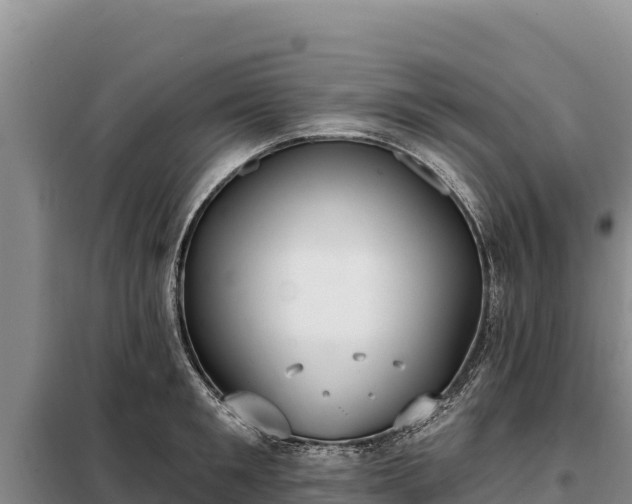 X0000099320901200805091038