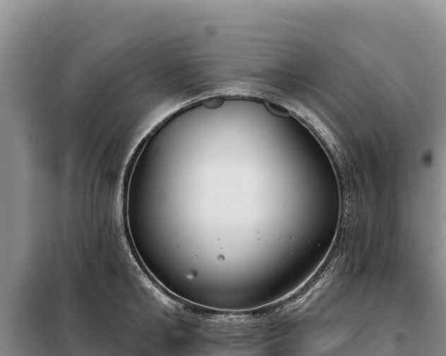 X0000099320902200805091038