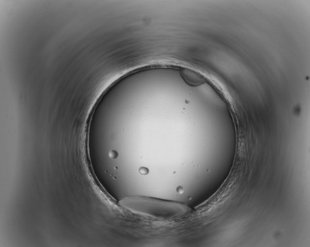 X0000099320903200805091038