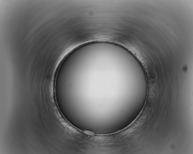 X0000099320904200805091038