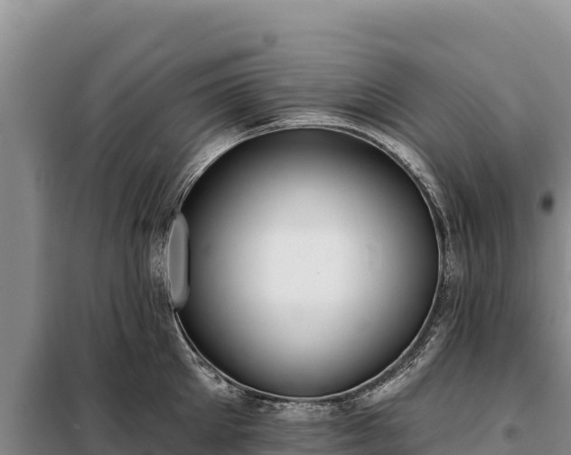 X0000099320905200805091038