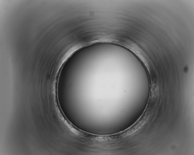 X0000099320906200805091038