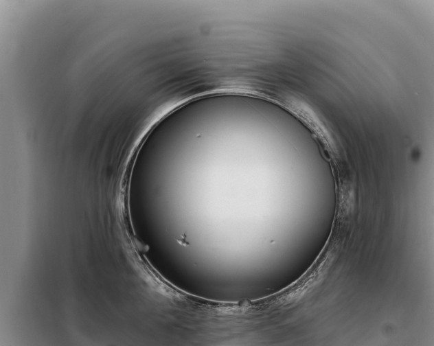 X0000099320908200805091038