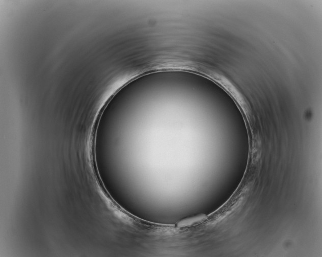 X0000099320909200805091038