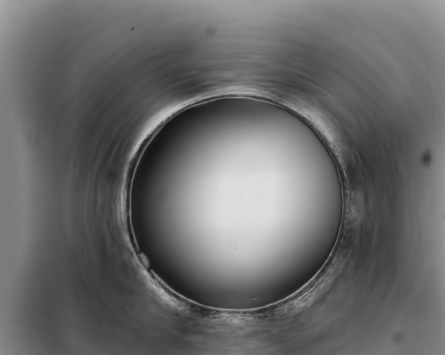 X0000099320910200805091038