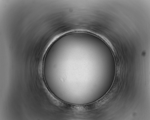 X0000099320911200805091038