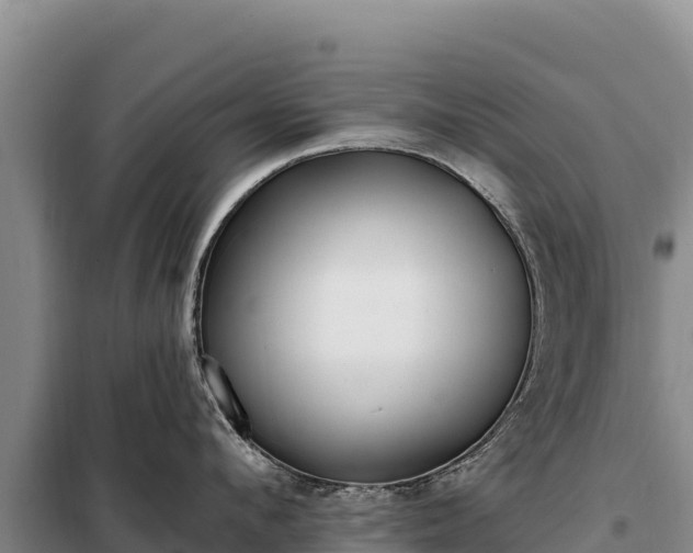 X0000099320912200805091038