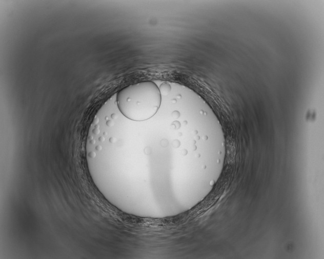 X0000099320913200805091038