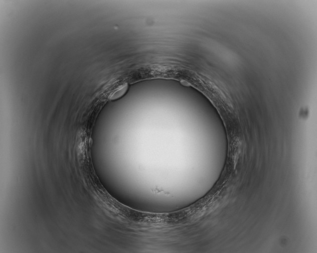 X0000099320914200805091038