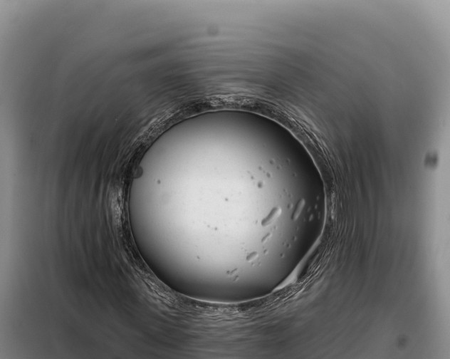 X0000099320915200805091038