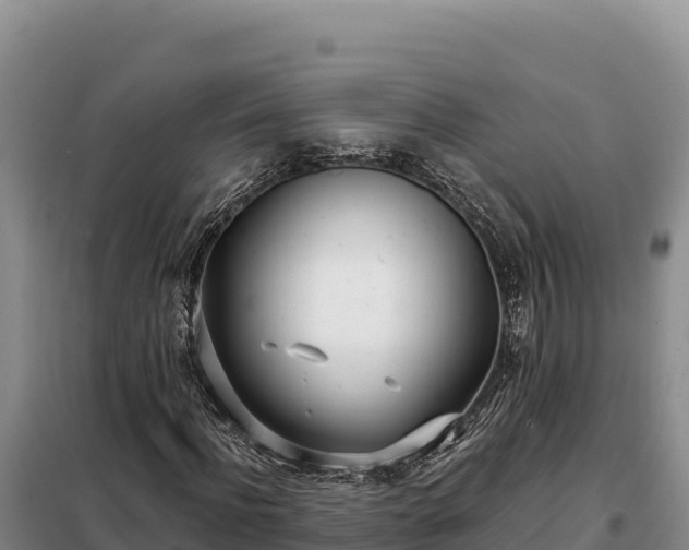 X0000099320916200805091038