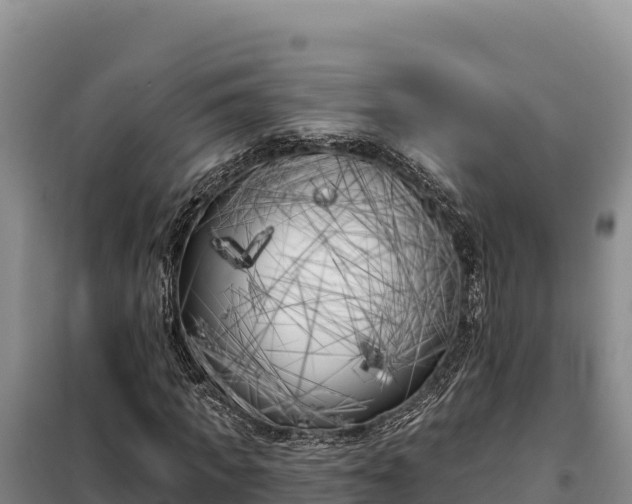 X0000099320917200805091038