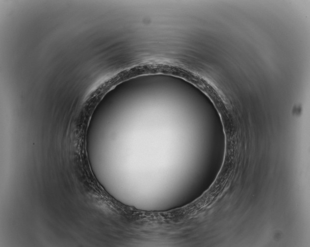 X0000099320919200805091038