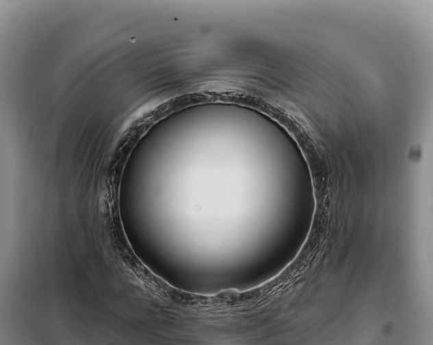 X0000099320920200805091038