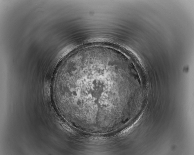 X0000099320921200805091038