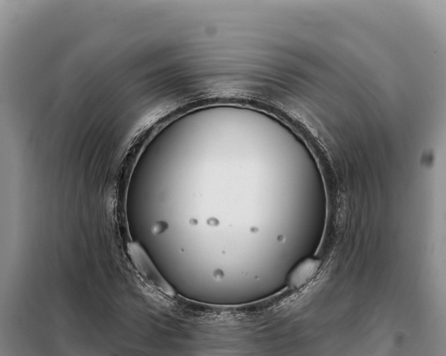 X0000099320922200805091038