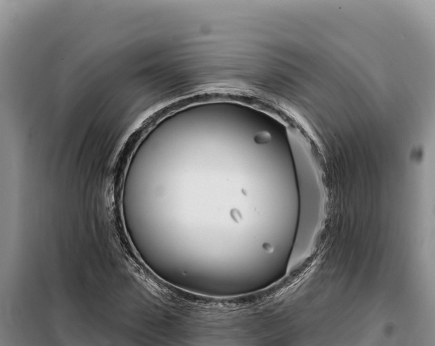 X0000099320923200805091038