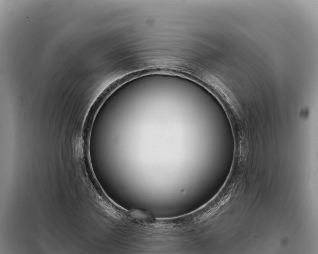 X0000099320924200805091038