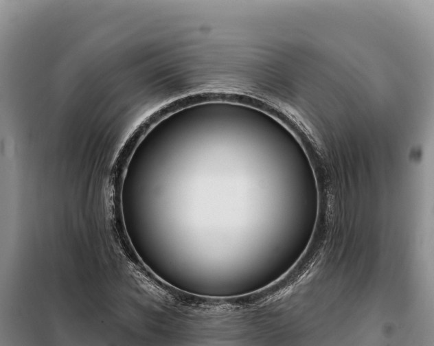 X0000099320926200805091038