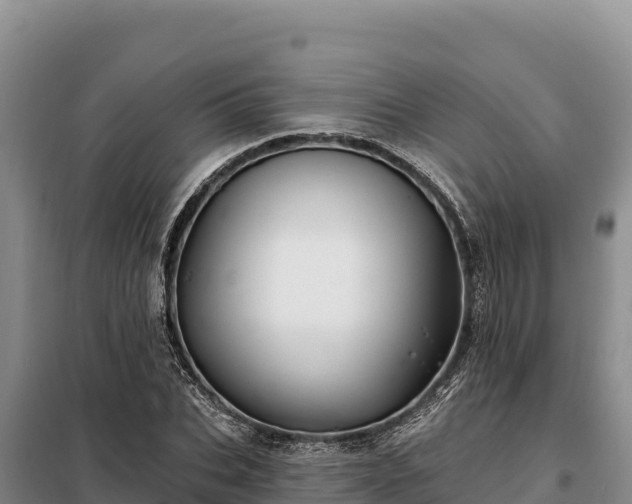 X0000099320927200805091038