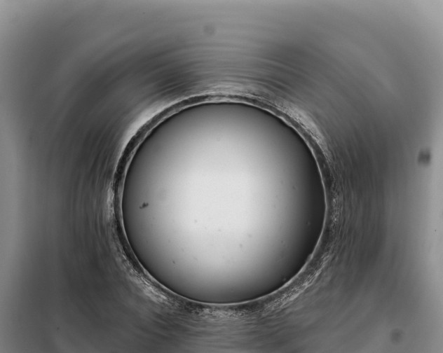 X0000099320928200805091038