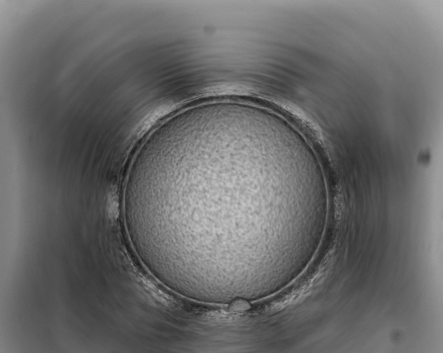 X0000099320929200805091038