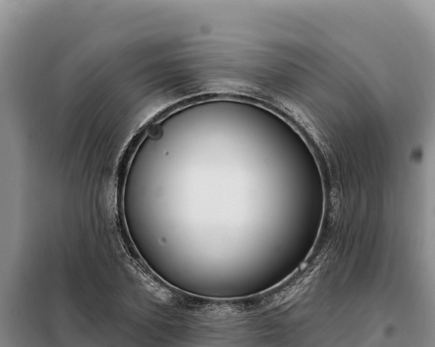 X0000099320931200805091038