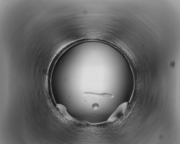 X0000099320932200805091038