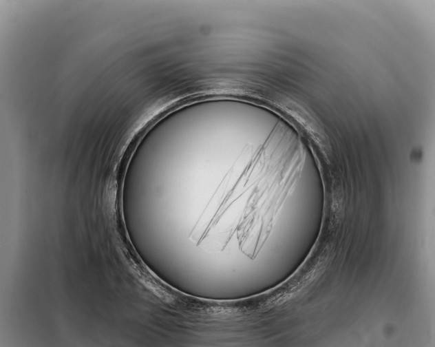 X0000099320933200805091038