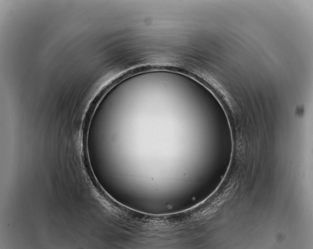 X0000099320935200805091038