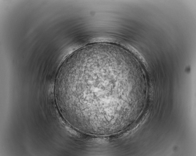 X0000099320937200805091038