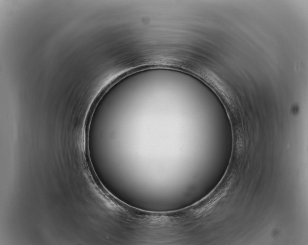 X0000099320940200805091038