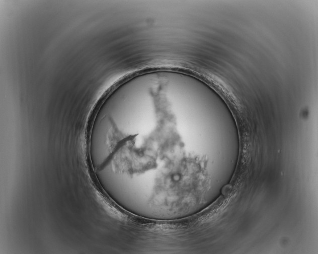 X0000099320942200805091038