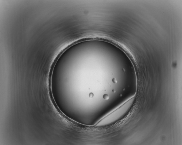 X0000099320943200805091038