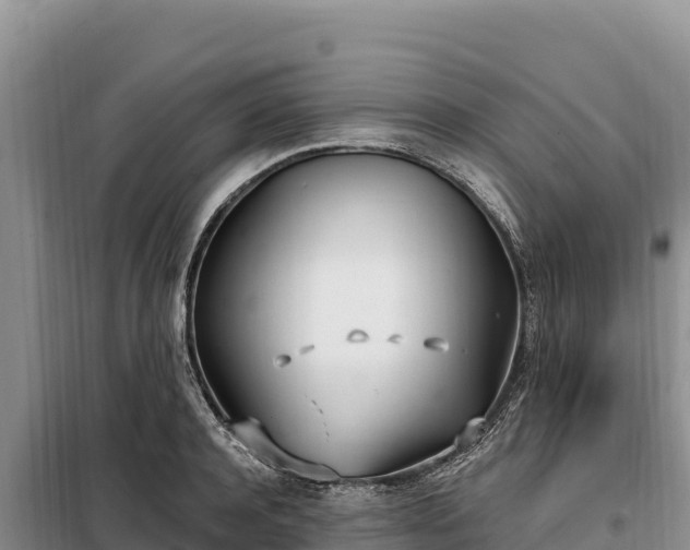 X0000099320944200805091038