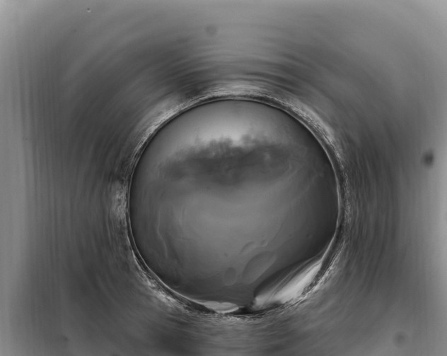 X0000099320945200805091038