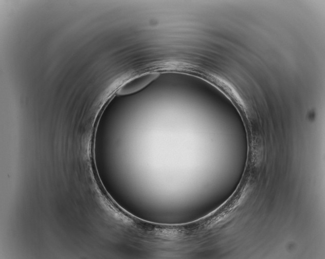 X0000099320946200805091038