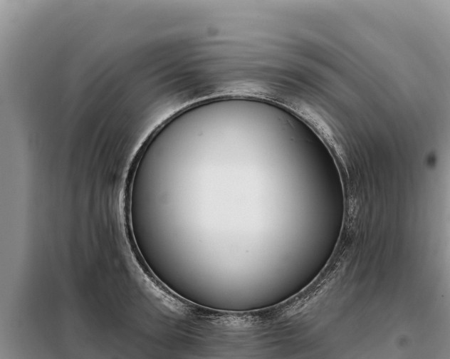 X0000099320947200805091038