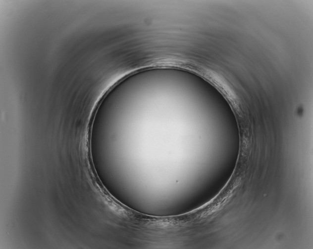 X0000099320948200805091038